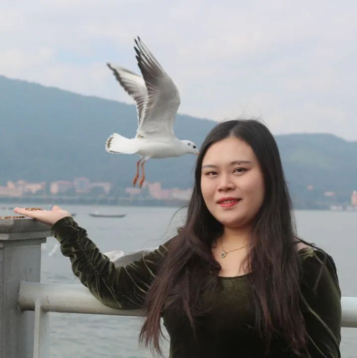 杨莉莉
