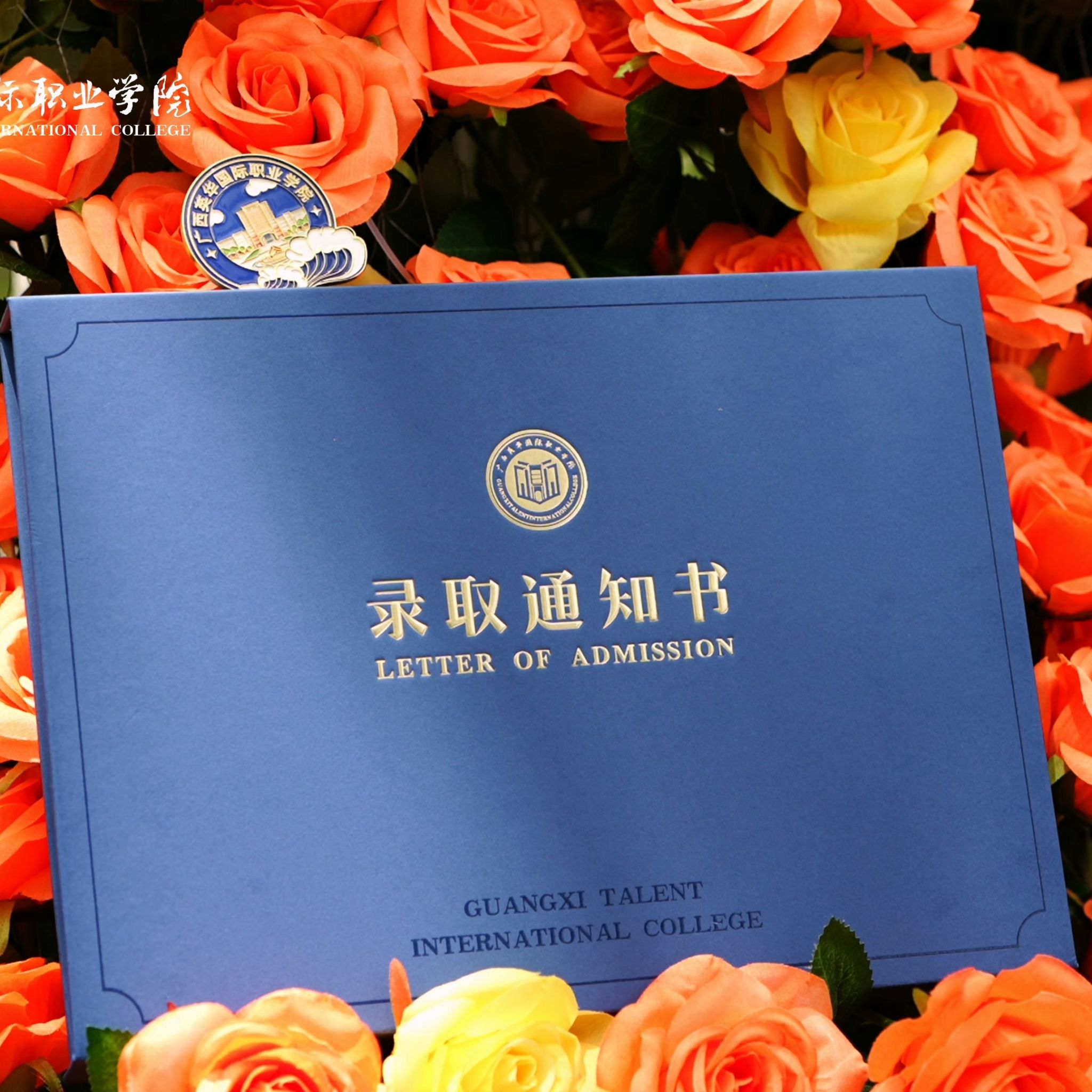 开箱有惊喜！广西英华2025录取通知书：集赞领文创，新生速来晒幸福