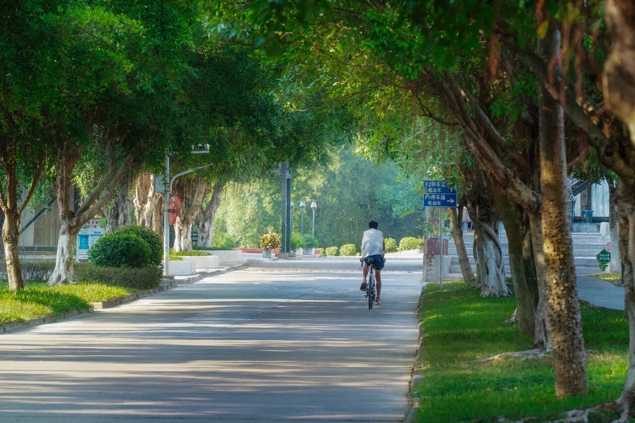 美丽校园 美丽校园