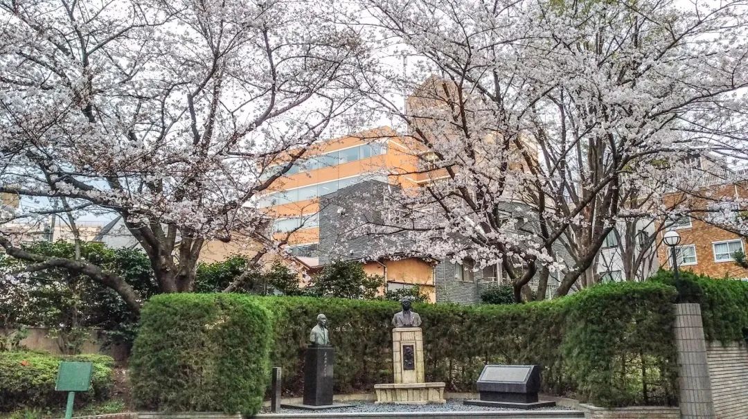 东京大学,早稻田大学,日本研学之旅出发!